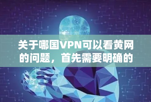 关于哪国VPN可以看黄网的问题，首先需要明确的是，黄网通常包括网络爬虫、钓鱼网站、反间谍软件等，这些内容是不合法和有害的，不适合欣赏或观看。因此，任何VPN都可以提供这样的内容