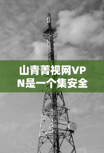 山青菁视网VPN是一个集安全性和灵活性于一身的VPN软件，适合有一定网络安全需求的用户。以下是一步步的使用指导