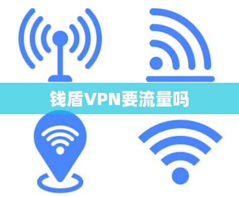 钱盾VPN要流量吗