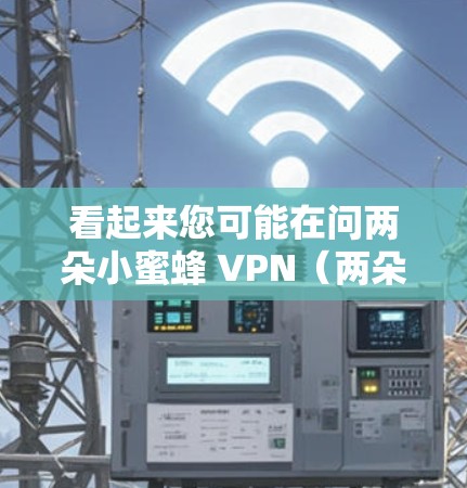看起来您可能在问两朵小蜜蜂 VPN(两朵小蜜蜂VPN)或者两朵小蜜蜂 VP(两朵小蜜蜂价值)以下是一些可能的解释