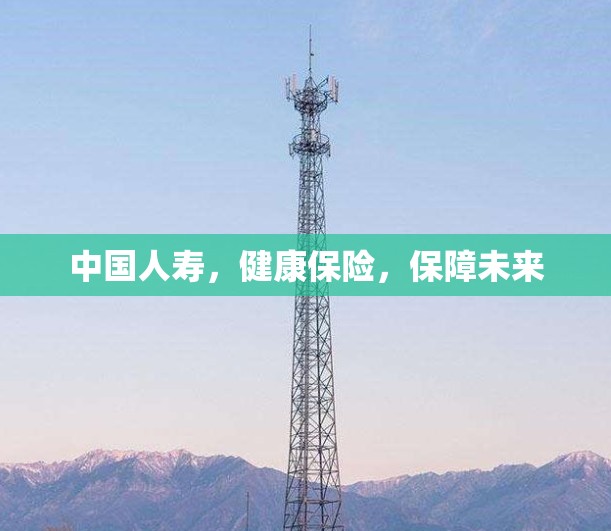中国人寿，健康保险，保障未来
