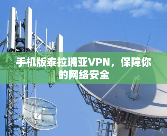 手机版泰拉瑞亚VPN,保障你的网络安全