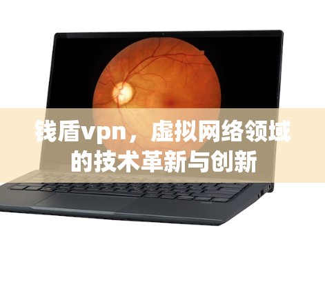 钱盾vpn,虚拟网络领域的技术革新与创新