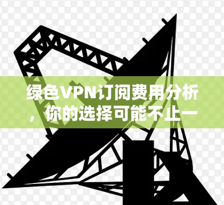 绿色VPN订阅费用分析，你的选择可能不止一个价格点