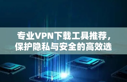 专业VPN下载工具推荐,保护隐私与安全的高效选择