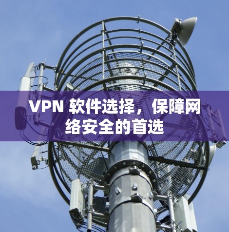 VPN 软件选择,保障网络安全的首选