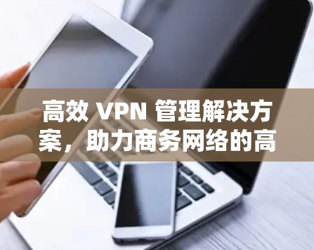高效 VPN 管理解决方案,助力商务网络的高效沟通 高效 VPN 管理解决方案,助力商务网络的高效沟通