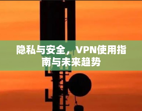 隐私与安全,VPN使用指南与未来趋势