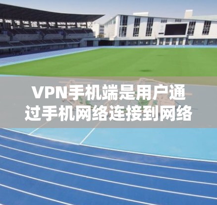 VPN手机端是用户通过手机网络连接到网络服务的工具,提供多种方式访问网络资源。以下是几种主要的VPN手机端软件及其特点