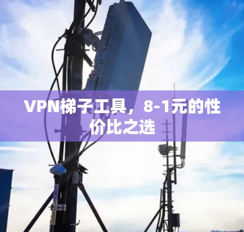 <strong>VPN梯子</strong>工具,8-1元的性价比之选