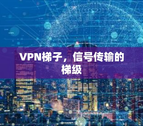 <strong>VPN梯子</strong>，信号传输的梯级