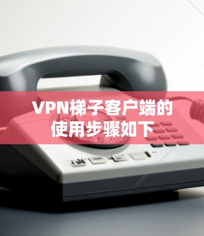 <strong>VPN梯子</strong>客户端的使用步骤如下