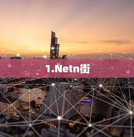1.Netn街