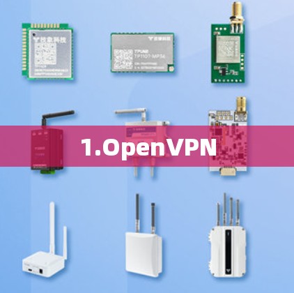 1.OpenVPN 1.OpenVPN
