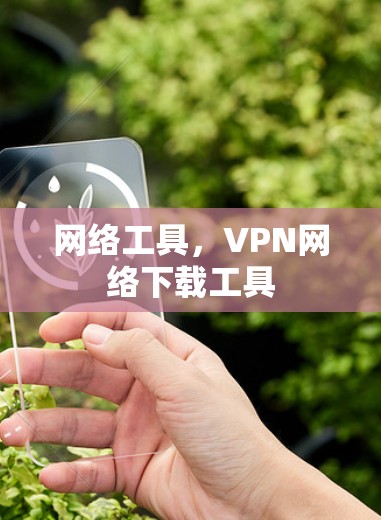 网络工具,VPN网络下载工具
