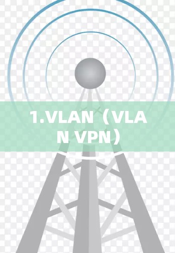 1.VLAN(VLAN VPN)