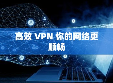 高效 VPN 你的网络更顺畅