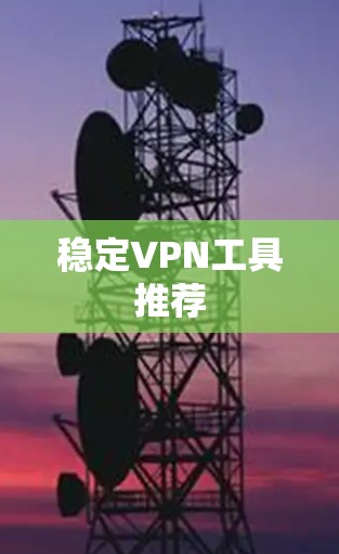 稳定VPN工具推荐