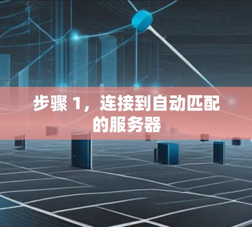 步骤 1,连接到自动匹配的服务器