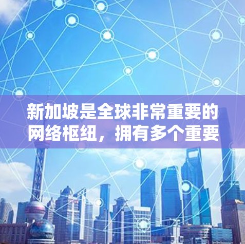 新加坡是全球非常重要的网络枢纽,拥有多个重要的VPN节点。这些节点在新加坡的互联网上提供了多种VPN选项,以满足不同用户的网络需求。以下是关于新加坡VPN节点的一些详细信息