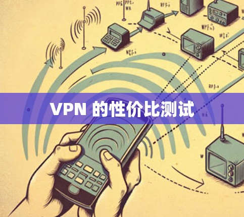 VPN 的性价比测试