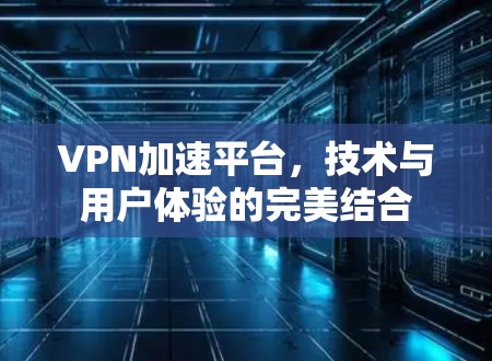 VPN加速平台，技术与用户体验的完美结合