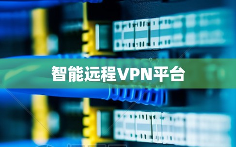智能远程VPN平台