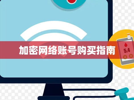 加密网络账号购买指南