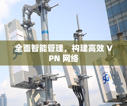 全面智能管理，构建高效 VPN 网络